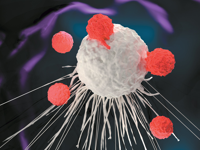 radiotherapies-therapies-systemiques